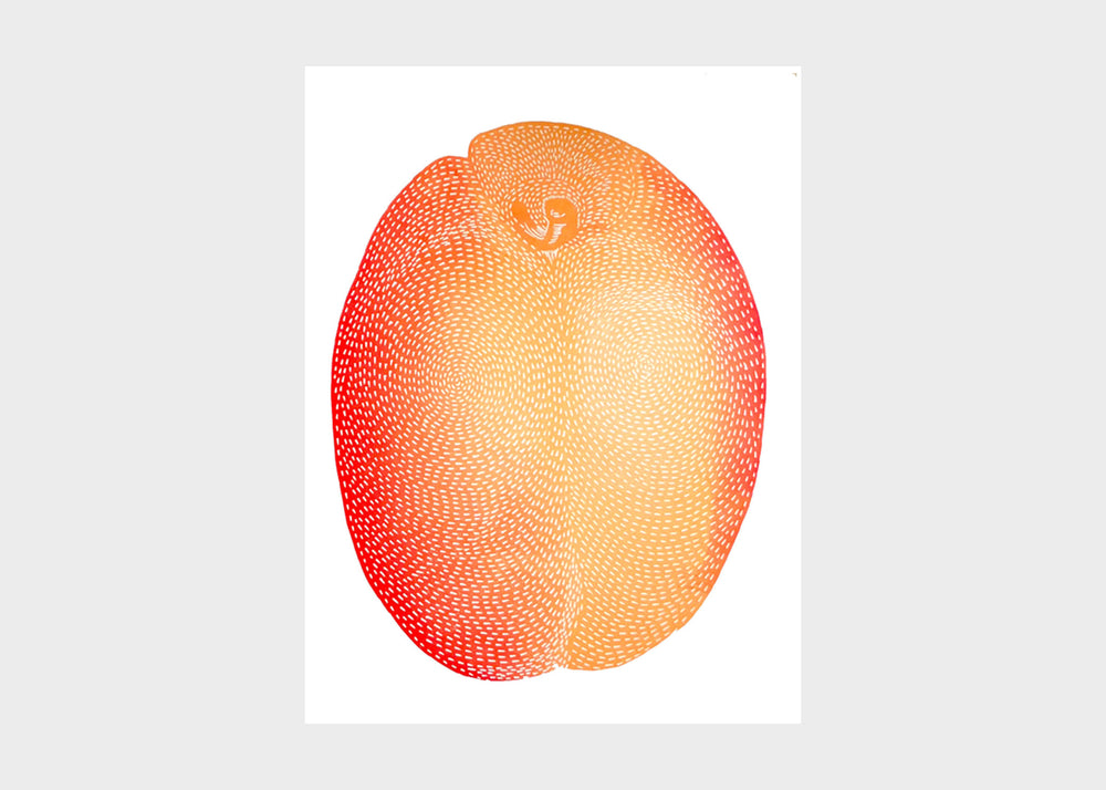 Print No. 485