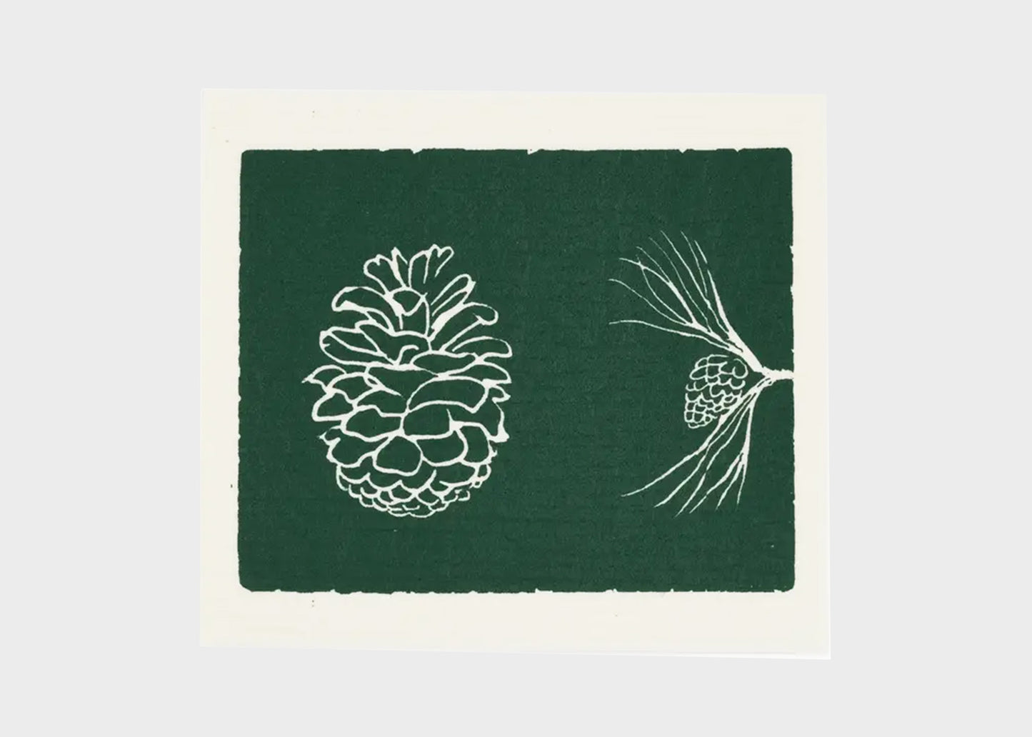 
                  
                    Wink Swedish Cloth Sponge
                  
                