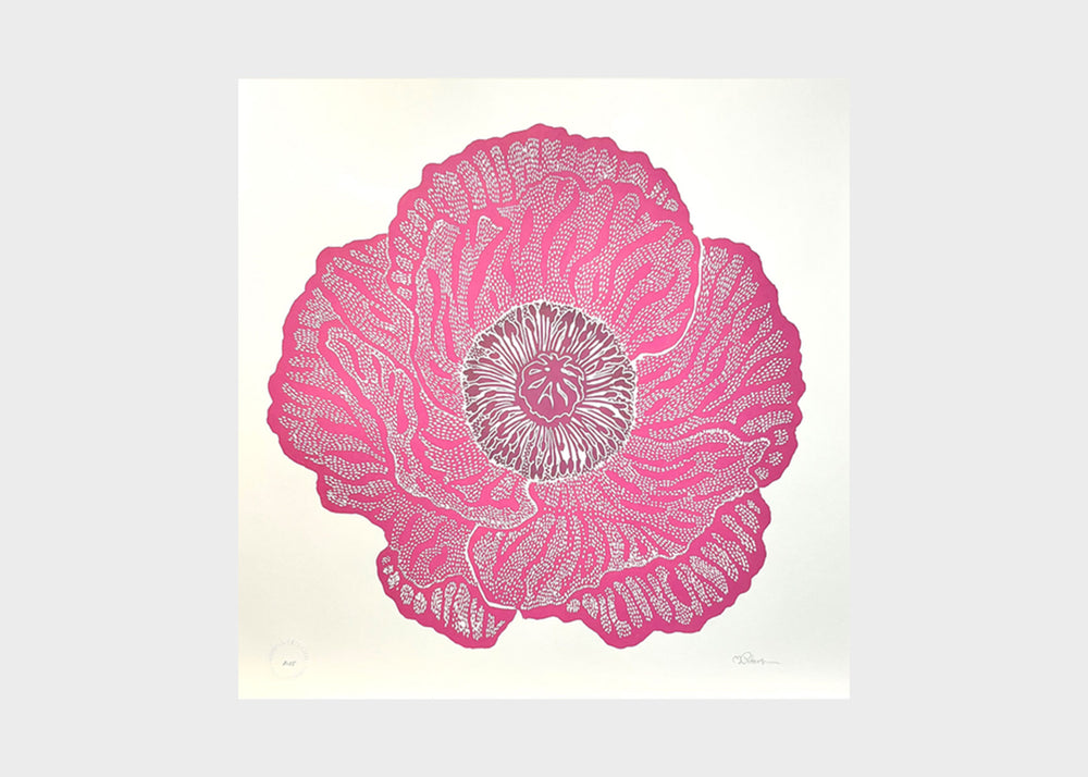 Print No. 484