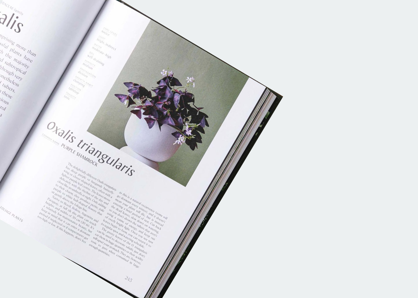 
                  
                    Plantopedia: The Definitive Guide to Houseplants
                  
                