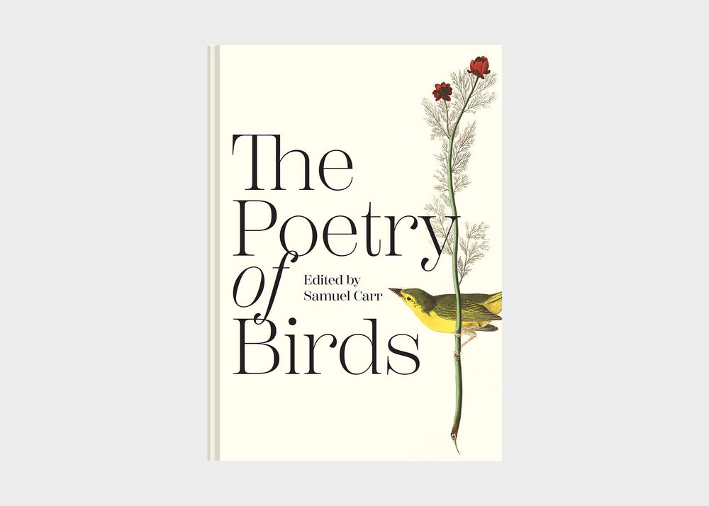 
                  
                    DENTS & DINGS: The Poetry of Birds
                  
                