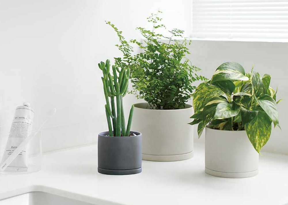 grey plant pot saucers Kinto Plant Pot 191 85mm Dark Grey – With Saucer, Drainage Hole – Woodland  Mod
