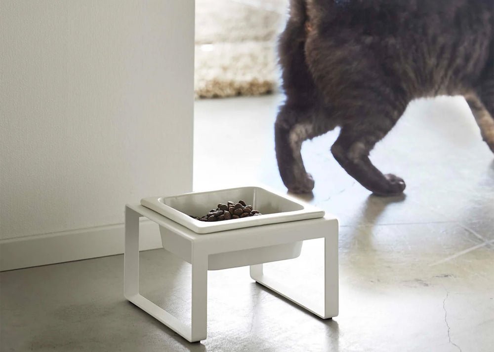 
                  
                    Ceramic Pet Dish Tall White
                  
                