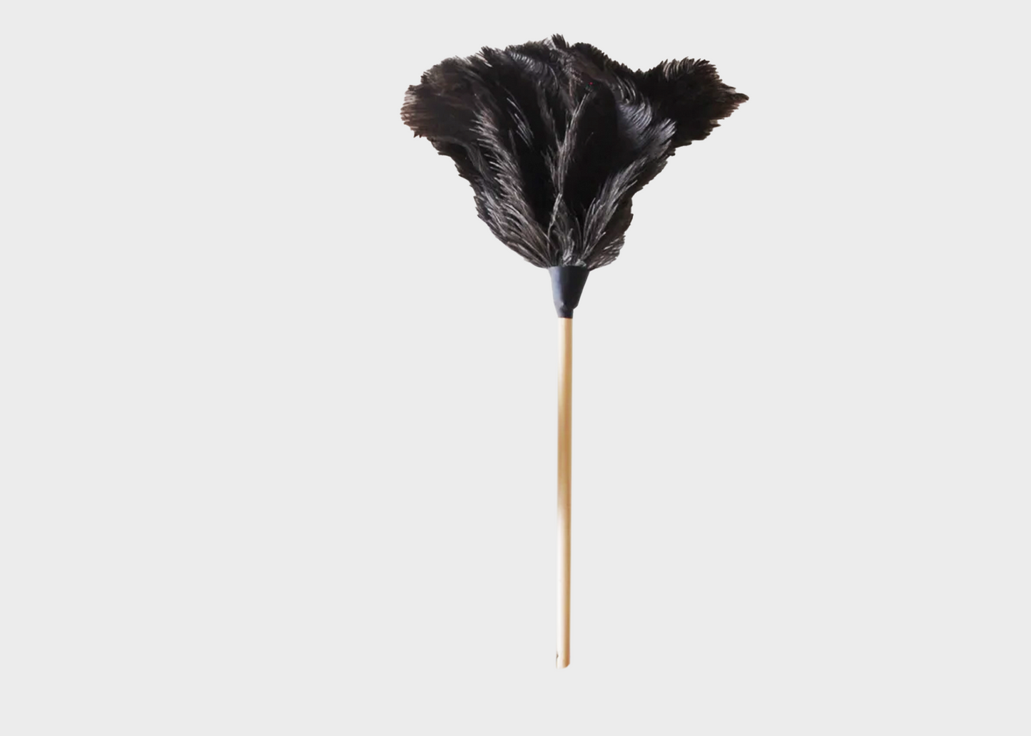 
                  
                    Feather Duster
                  
                