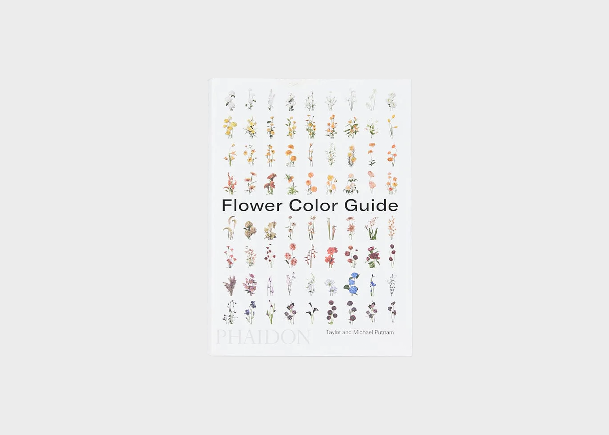 Flowercolor Guild Plant and Garden – Woodland Mod