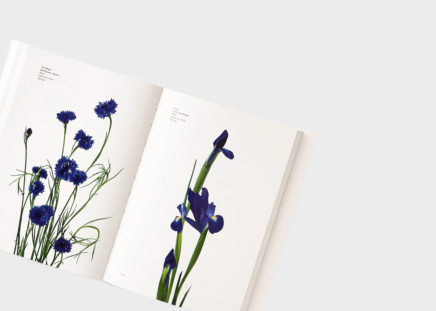 
                  
                    Flower Color Guide Book Cover by Phaidon
                  
                