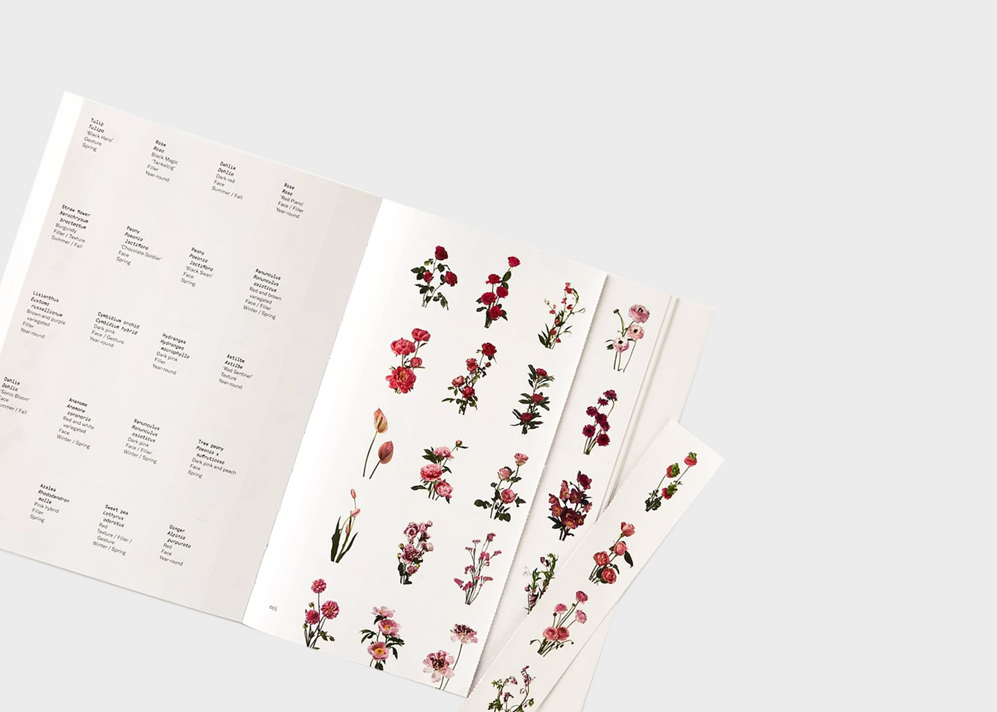 
                  
                    Flower Color Guide Book Cover by Phaidon
                  
                