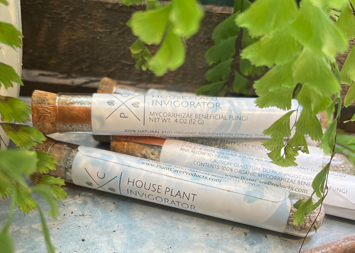 indoor plant care products House Plant Invigorator – Woodland Mod