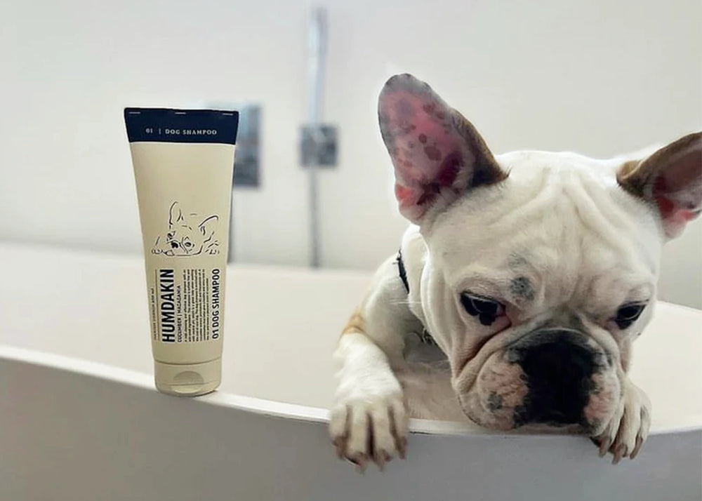 A humdakin Dog Shampoo bottle next to a dog in a bathtub