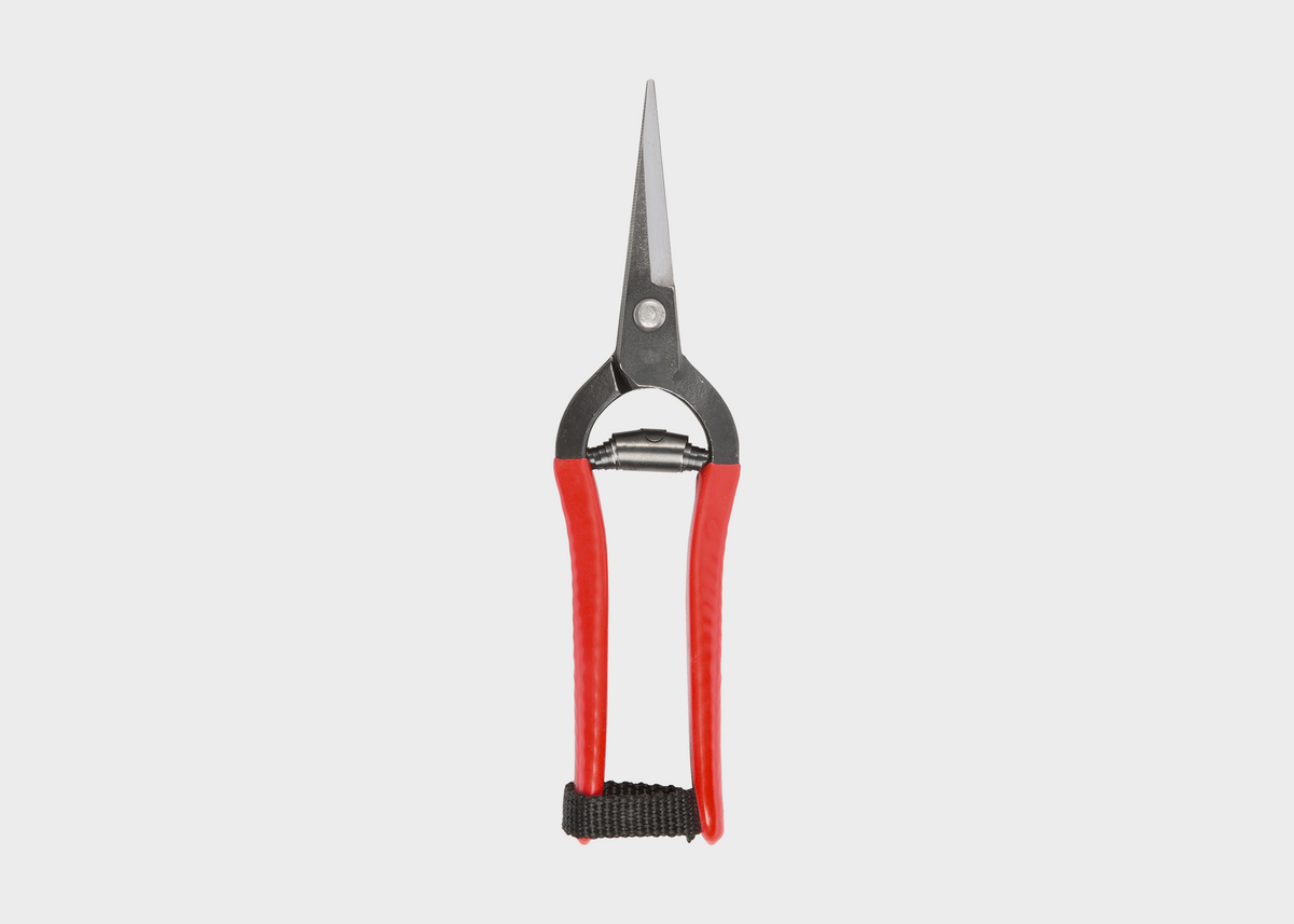 Niwaki Forged Garden Snips