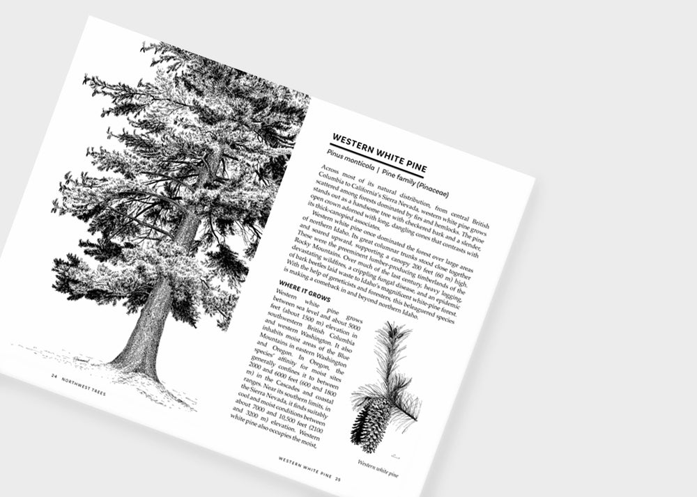 
                  
                    Northwest Trees, 2nd Edition
                  
                
