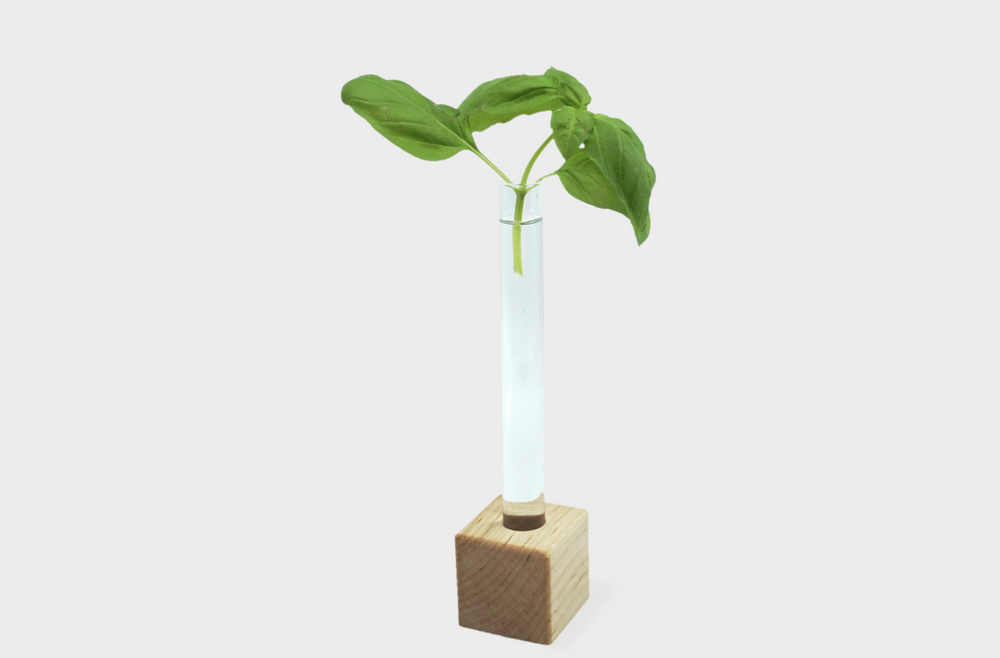 Single Propagation Station