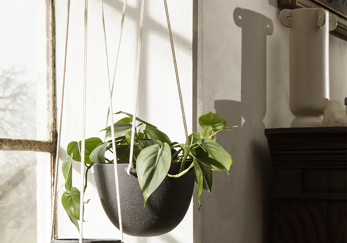 
                  
                    Hanging Speckle Pot Large grey with white ropes by Ferm Living holding a plant in a window
                  
                