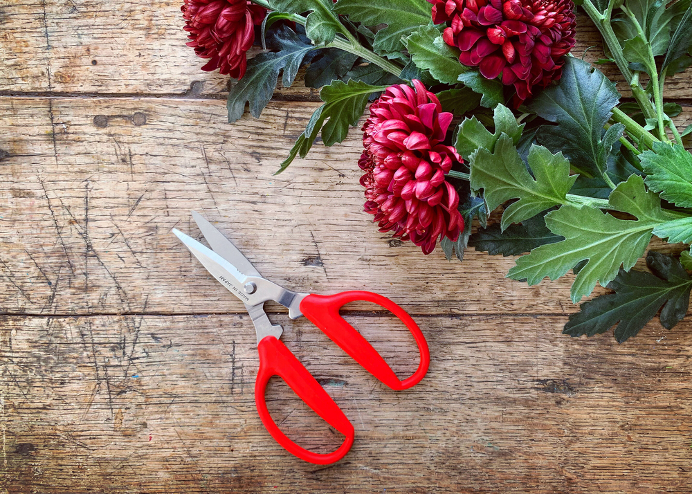 Niwaki Hontane Desk Scissors