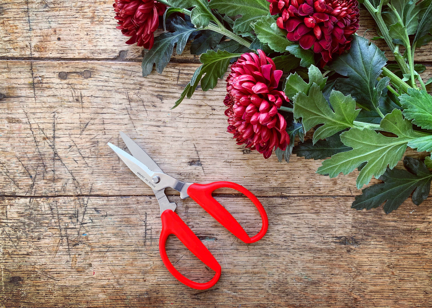 
                  
                    Niwaki Utility Scissors with red handles resting on a wooden surface next to purple flowers
                  
                