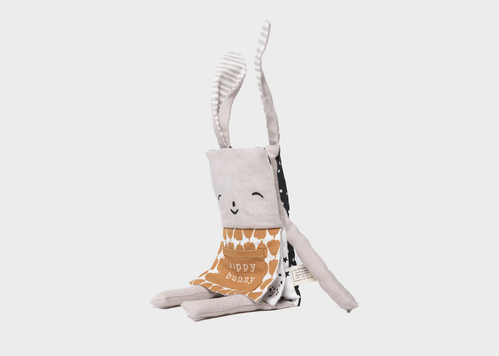 
                  
                    Flippy Friend Bunny (English)
                  
                